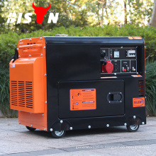 Bison China Copper Wind Sortie réelle Power Diesel Generator Set, Diesel Generator Set 3KW